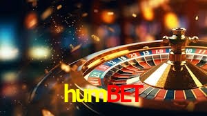 Security Systems humbet